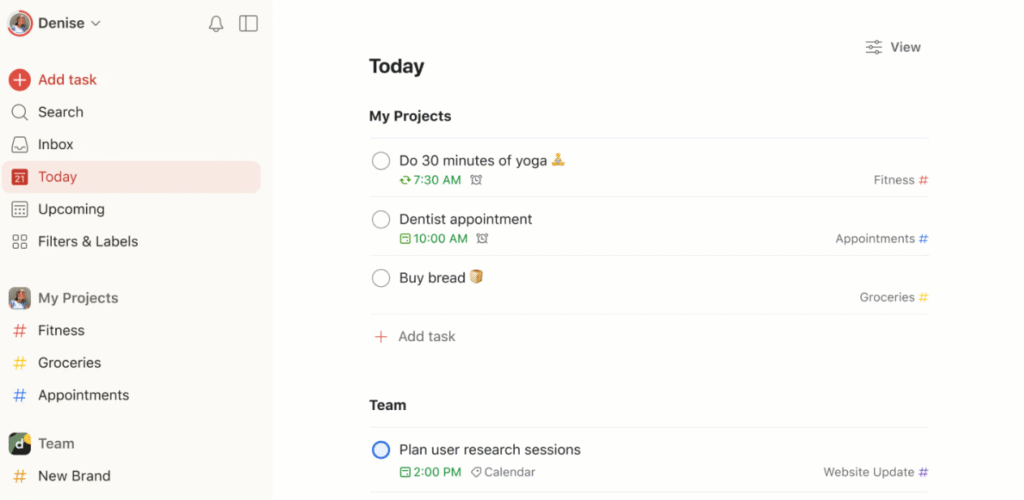 Todoist dashboard displaying task lists, productivity tracking, and project management features for efficient workflow organization